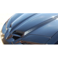 Firebird Blackbird Style Stripes