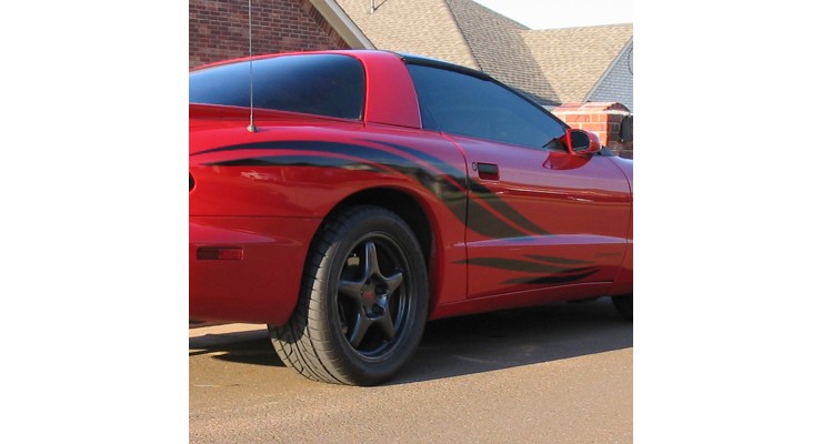 4thGen Firebird Side Feathers
