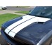 3rdGen Dodge Challenger Rally Stripes