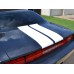 3rdGen Dodge Challenger Rally Stripes