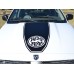 Hemi Ram Hood Stripe