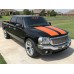 GMC/Chevrolet Sport Truck Stripes